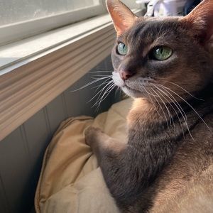 Meet your Posher, Danika